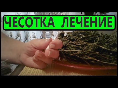 Вопрос: Как вылечить чесотку у собак?