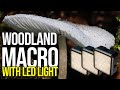 Woodland Macro Photography with LED - Nature Photography tips and ideas -  Ulanzi VL49 RGB
