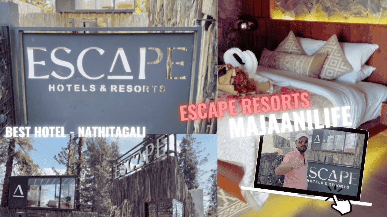 Escape Hotel Nathia Gali 🏔️ | Full Tour & Luxury Forest Stay