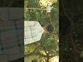 1st Trending song cinematic video || capcut editing || feel nature #capcut #cinematic #song
