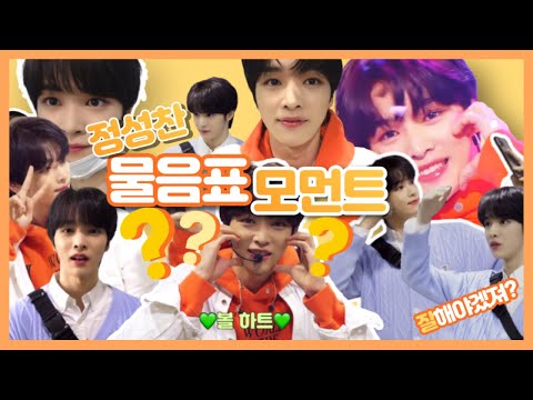 [NCT 성찬] 정성찬 물음표 모먼트 모음🦌🧡
