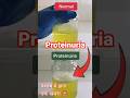 Normal Urine Vs Proteinuria Protein In Urine Differences Proteinuria Urineprotein Urineanalysis Normal Urine Vs Proteinuria Protein In Urine Differences Proteinuria Urineprotein Urineanalysis