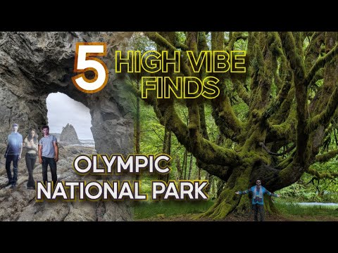 Olympic Peninsula Craigslist's Hidden Marketplace Revealed