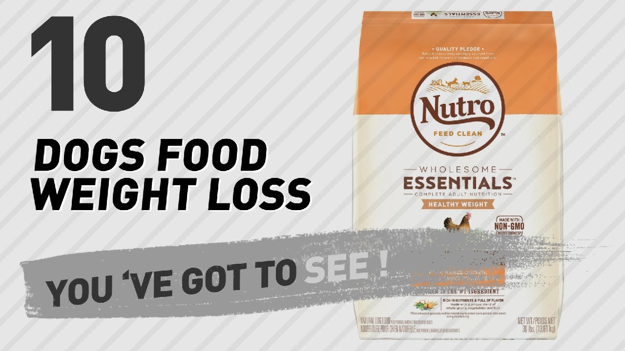 dog food orijen Dogs Food Weight Loss // Top 10 Most Popular