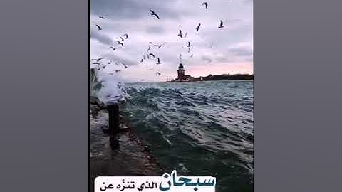 وقالوا اتخذ الرحمن ولدا || تلاوة خاشعة مؤثرة
