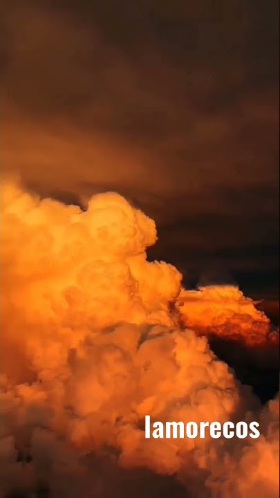 Aesthetic Song LAMORECOS // It's a paradise 😍 Instagram reel ✨