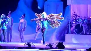 Lady GaGa - ArtPop - Live ArtRave @ Paris Bercy 24.11.2014 Resimi