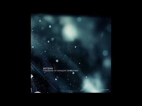 Notzing (2) — Notzing - Limbo (Original Mix)
