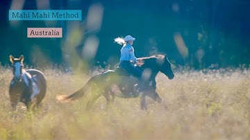 Mahi Mahi Method… since 1985