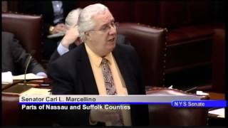 Senator Daniel Squadron Session Debate on S.1501
