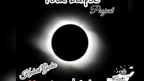 TOTAL ECLIPSE project Leopard Gecko❤️🇵🇭