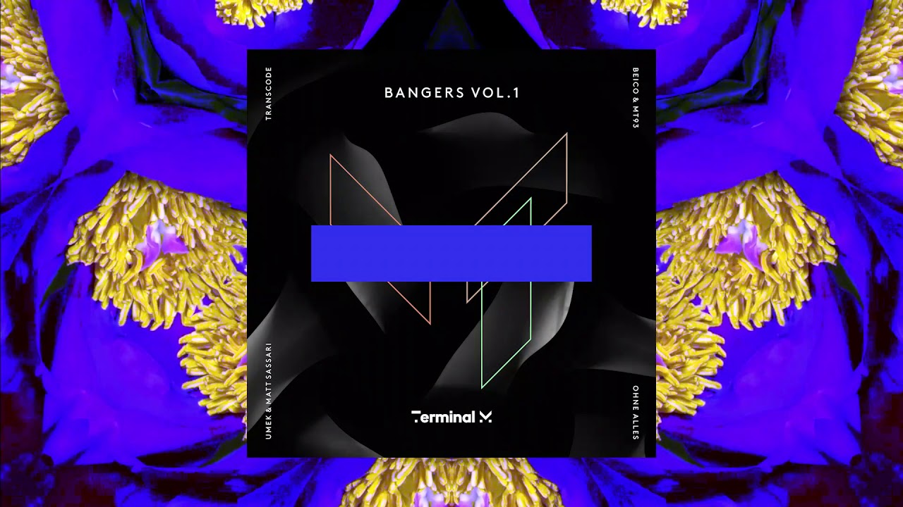 Beico & MT93 - A Strange Vision