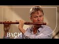 Bach  flute partita in a minor bwv 1013  root  netherlands bach society