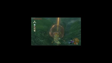 I Accidentally Found a Korok