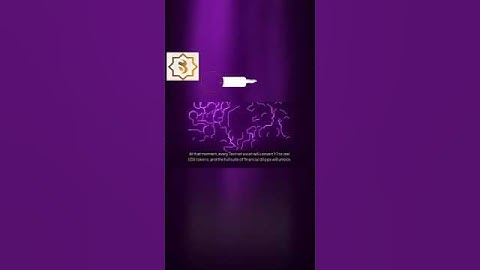 SIDRA BANK GOES LIVE! FULL LAUNCH DATE REVEALED| SHARIAH COMPLIANT BEGINS! SIDRA BANK NEWS UPDATE