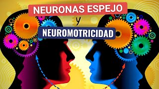 Neuronas espejo y Neuromotricidad.