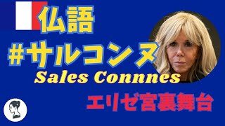 🇫🇷 【フランス語tuの使い方】裏のブリジット・マクロン『Sales connes』発言露出　#フランス語 　 #追い出し　#劇場裏
