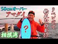 【釣りバカ】アマダイリベンジ！目指せ50cmオーバー‼