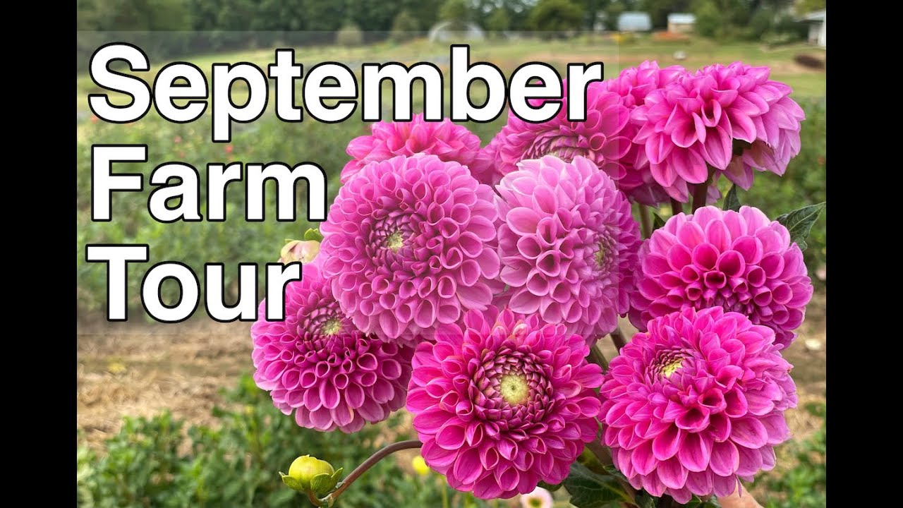 September Farm Tour | PepperHarrow Farm