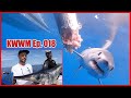 Mako shark attacks swordfish  amazing underwater footage  key west waterman ep 019