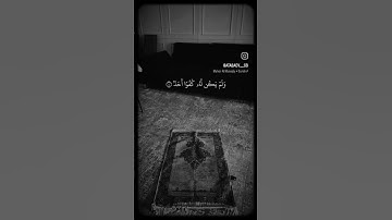 #القرآن_الكريم #تلاوة_خاشعة # #اكسبلور #ماهر_المعيقلي #لايك #راحة_نفسية