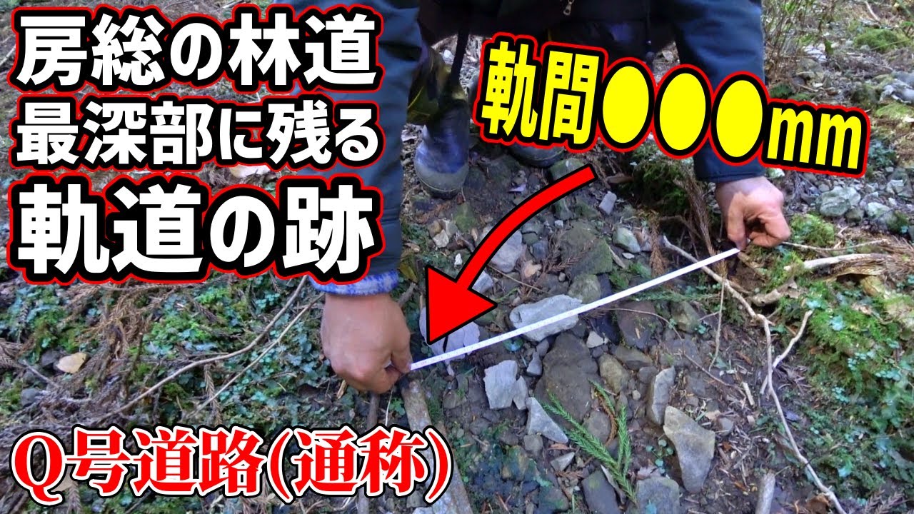 【Q号道路】崩れかけの素掘りトンネル、落とされた木橋、林道最深部に残る謎の軌道跡 #千葉 #房総 #林道 #日本の廃道