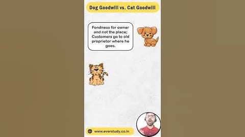 Dog Goodwill vs. Cat Goodwill | NET | PGT | Commerce | Management | Everstudy Classes