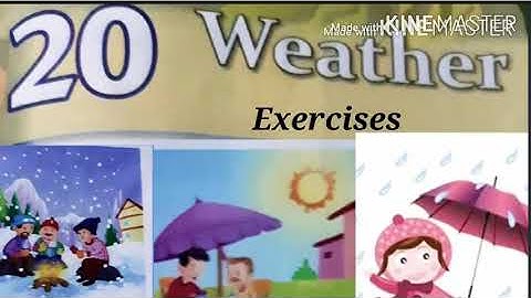 E.V.S Chapter-20 Weather ( Exercises)