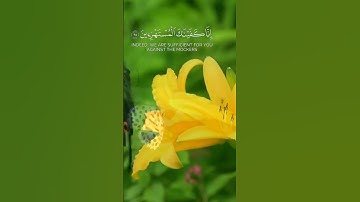 {فَوَرَبِّكَ لَنَسۡـَٔلَنَّهُمۡ أَجۡمَعِينَ عَمَّا كَانُواْ يَعۡمَلُونَ} سورة الحجر ٩٢ : ٩٦