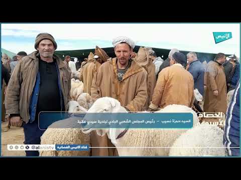 بسكرة أسواق سيدي عقبة تستعيد تنظيمها تدريجيا بعد لامبالات طويلة