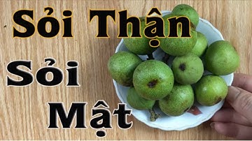 Chữa sỏi thận, sỏi mật, cả đời không tái phát chỉ với vài quả sung làm theo cách này [sức khỏe]