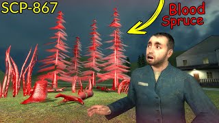 Never Touch SCP-867 Blood Spruce