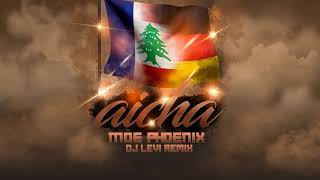 Moe Phoenix - Aicha (Dj Levi Remix) Resimi