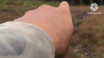 MỘT NGÀY ĐI BẨY CHIM CÚT: GẶP MỘT CÁI KẾT QUÁ CAY ĐẮNG: TỪ TRƯỚC TỚI GIỜ 