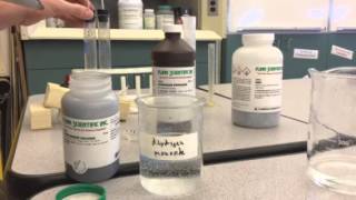 Microrocket Prelab