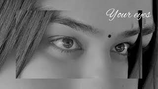 Your Eyes 30Key Talwiinder