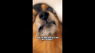 1-833-SEVALAW Dog bites happen faster than you think, and the aftermath can be overwhelming 🐕