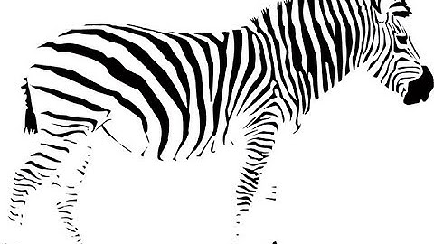 Gestalt Psychology and Its Impact on Consumer Behaviour  I – Closure and Continuation