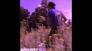 ALCATRAZ - amore çok (feat. Pashanim) [Techno Remix]