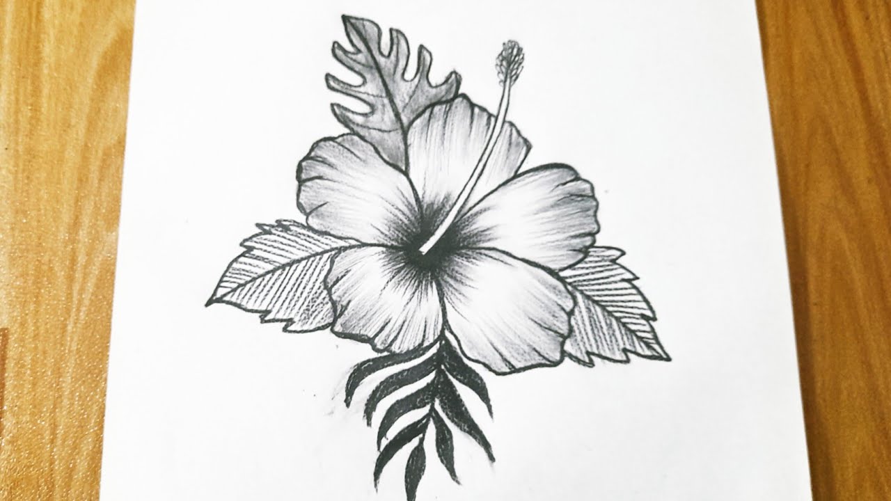Hibiscus Flower Shape – DIY Paper Supply-saigonsouth.com.vn