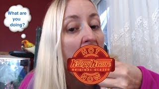 Krispy Kreme Halloween Donuts Review