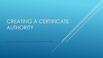 Creating a Certificate Authority and issuing a wilcard cert