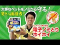 【大事なペットを守る！オススメ商品】電子ノミとりホイホイ