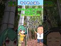 日本の夏。流しそうめんのつくり方【料理】【ゆっくり実況】#shorts
