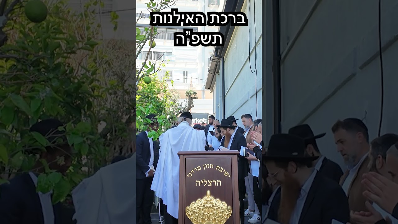הרב מאיר דוד שמואלי - ברכת האילנות תשפ"ה