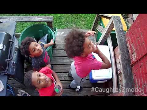 #CaughtbyZmodo-September 2021 - video from Zmodo