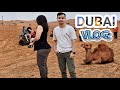 New Vlog Desert Safari In Dubai 4K HD Day Part 1 MRF Ka Vlogs New Vlog Desert Safari In Dubai 4K HD Day Part 1 MRF Ka Vlogs