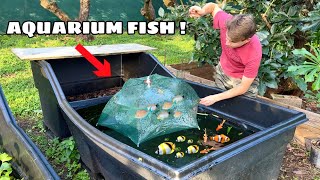 TRAPPING AQUARIUM FISH IN GREENSLIME POND !