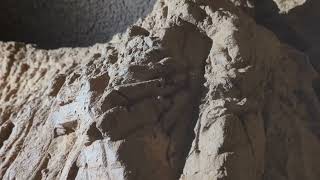 Bear Claw Marks Discovered inside this Tennessee Cave