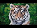 Рисуем тигра/Paint a tiger